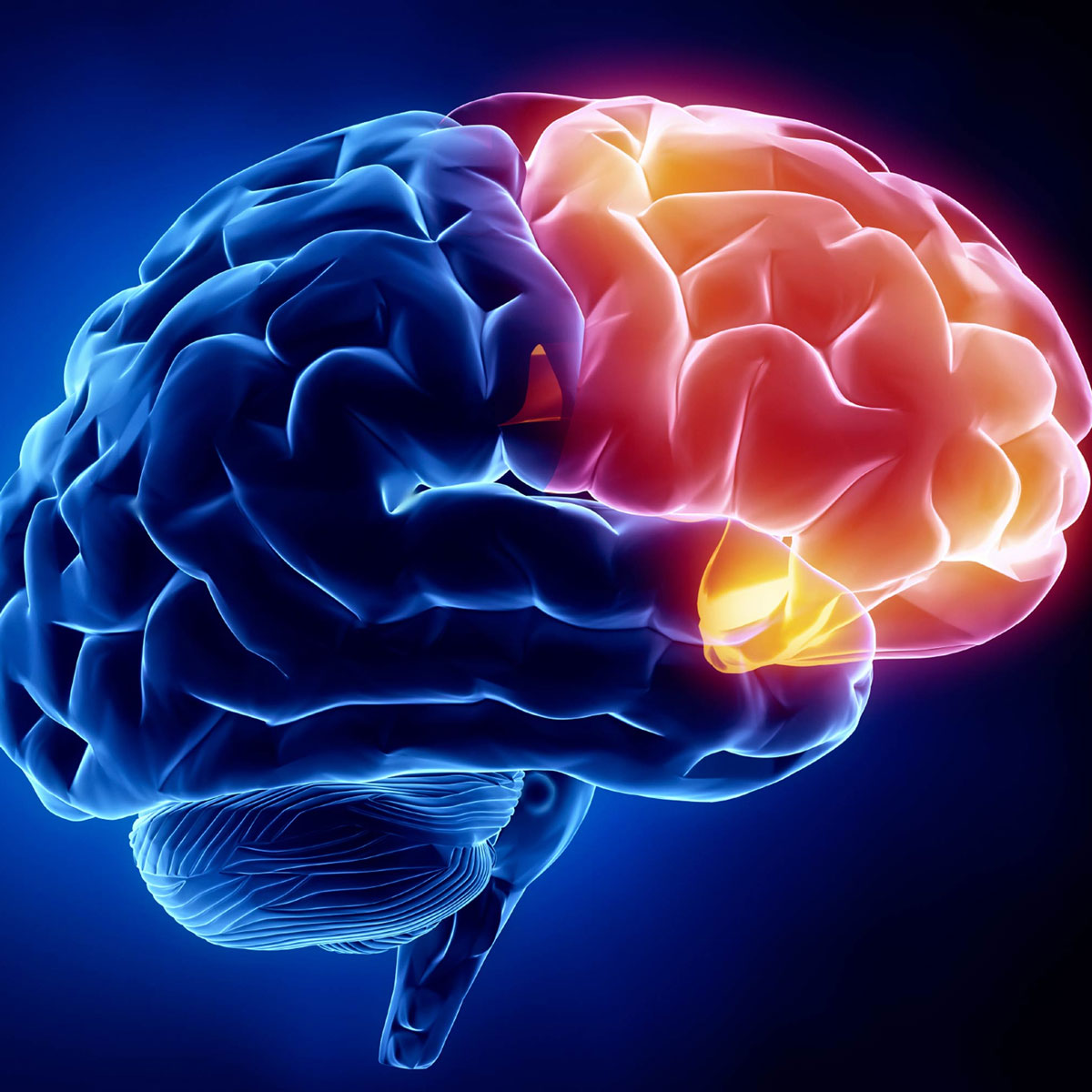 Нейрологика и фокусы нашего мозга
